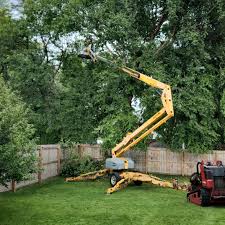 Best Seasonal Cleanup (Spring/Fall)  in Mount Pleasant, TX