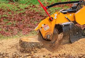 Best Weed Control  in Mount Pleasant, TX